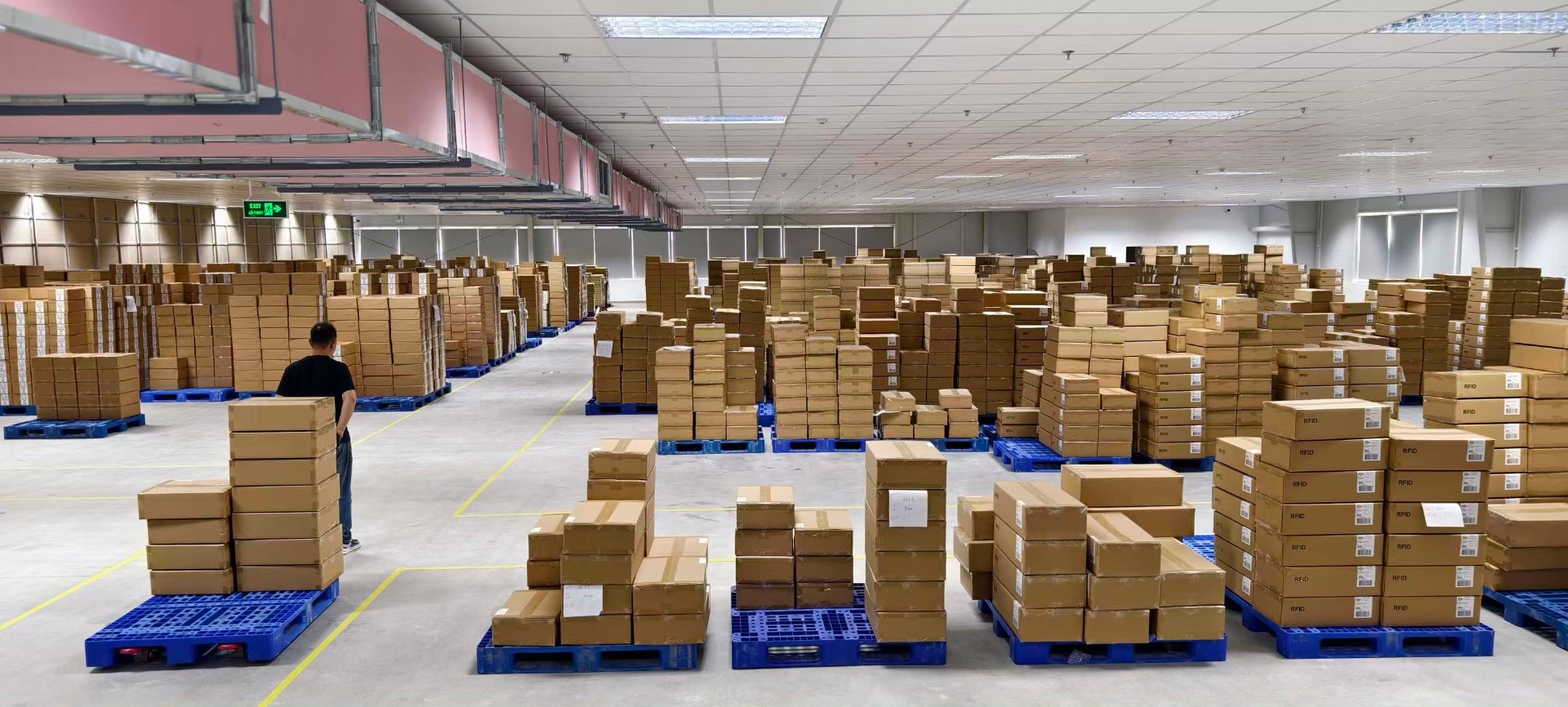 Finished-goods warehouse — retailer-ready cartons